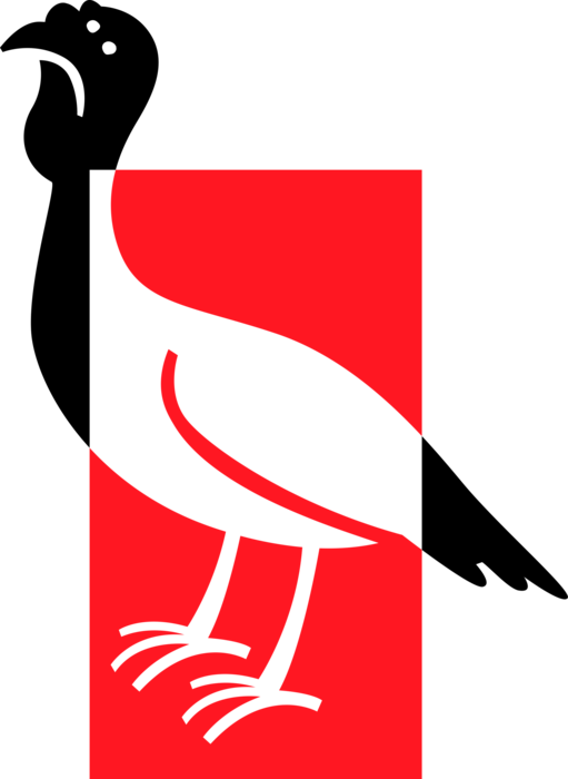 Vector Illustration of Wild Turkey Ground Bird Native to North America