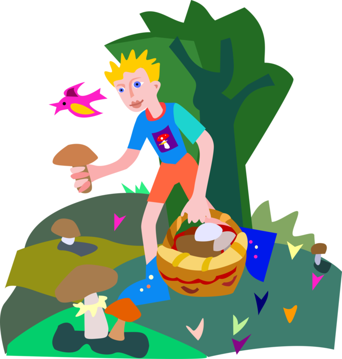 Vector Illustration of Picking Edible Mushrooms or Toadstool Fleshy Spore-Bearing Fungus Food