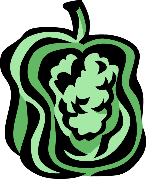 Vector Illustration of Green Pepper Capsicum Bell Pepper