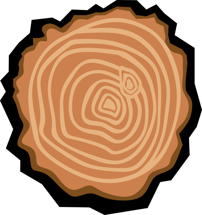 Vector Illustration of Cross Section Tree Trunk Rings