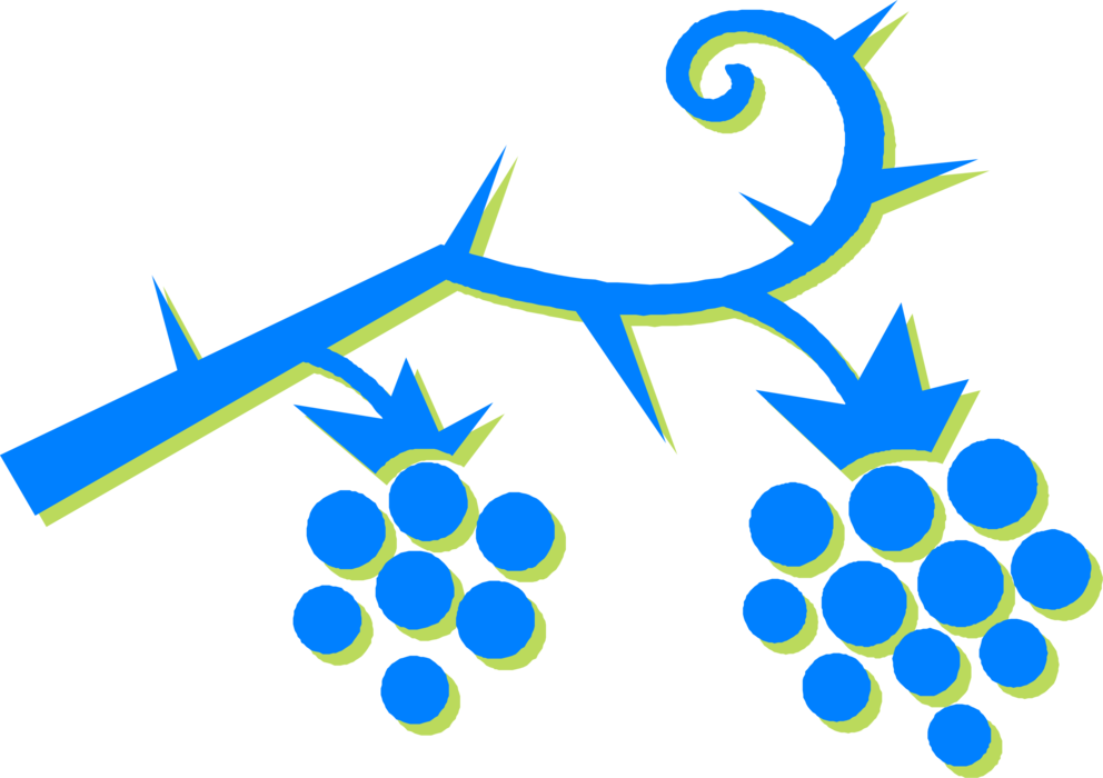 Vector Illustration of Bramble Fruit Raspberry Edible Fruit with Prickles