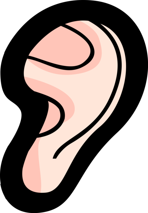 Vector Illustration of Human Ear for Hearing