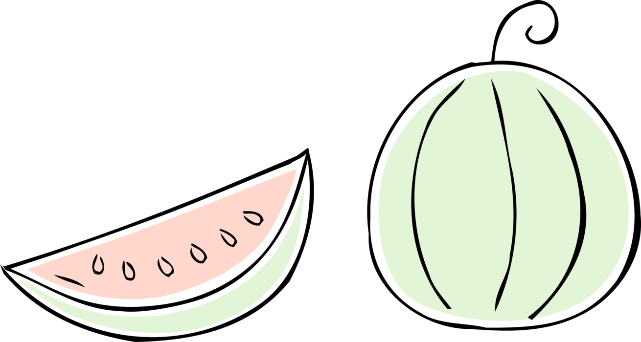 Vector Illustration of Watermelon Fruit Melon and Slice