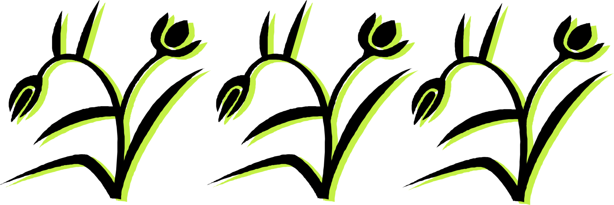 Vector Illustration of Bulbous Plant Tulip Flowers