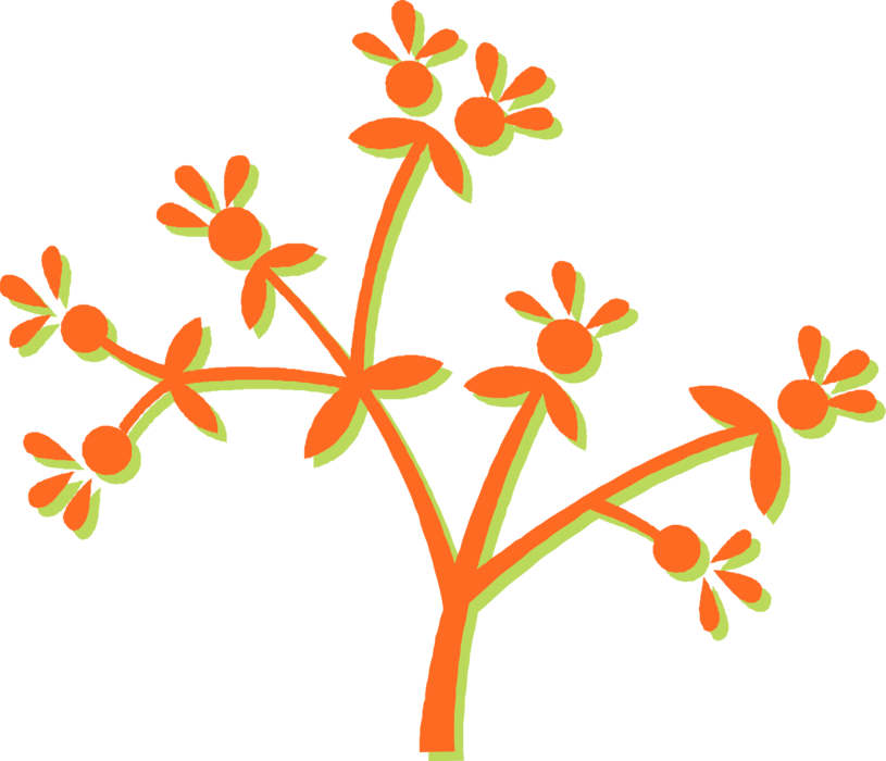 Vector Illustration of Botanical Horticulture Plant Floral Flower Blossoms on Stems