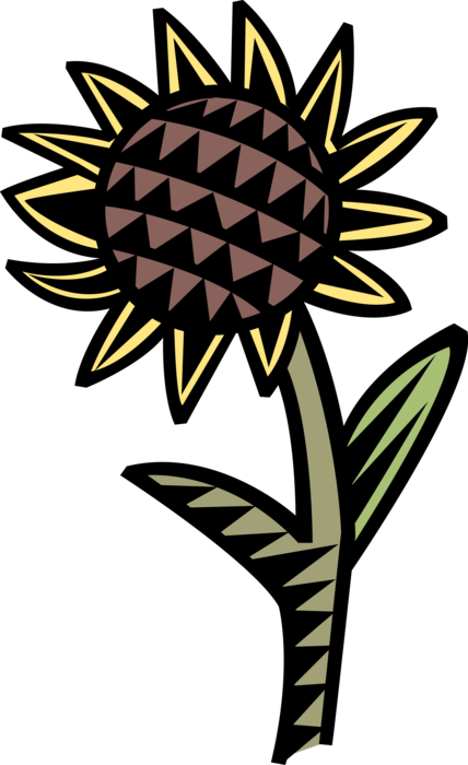 Vector Illustration of Botanical Horticulture Flower Blossom Sunflower