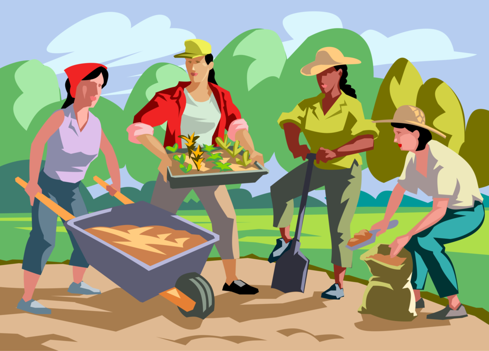 Vector Illustration of Women Gardeners Planting Flowers in Garden with Wheelbarrow and Shovel