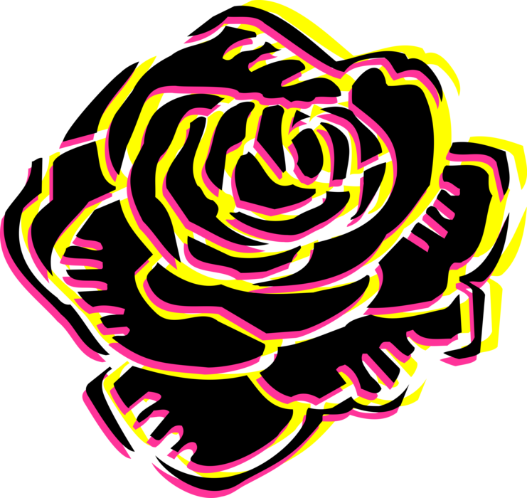 Vector Illustration of Garden Rose Flower Perennial Plant