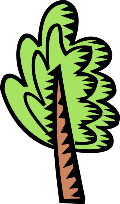 Vector Illustration of Deciduous Forest Tree Vegetation Loses Leaves Seasonally in Autumn
