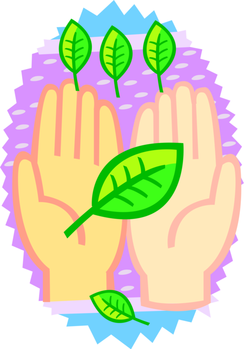 Vector Illustration of Hands Holding Leaves in Natural Environment