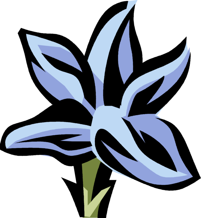 Vector Illustration of Gentiana Botanical Flowering Plant