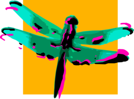 Dragonfly20160823 3757 m6b3py