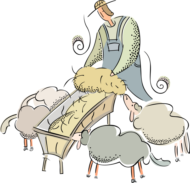 Vector Illustration of Farmer Feeding Flock of Woolly Sheep with Alfalfa Hay in Farm Barn