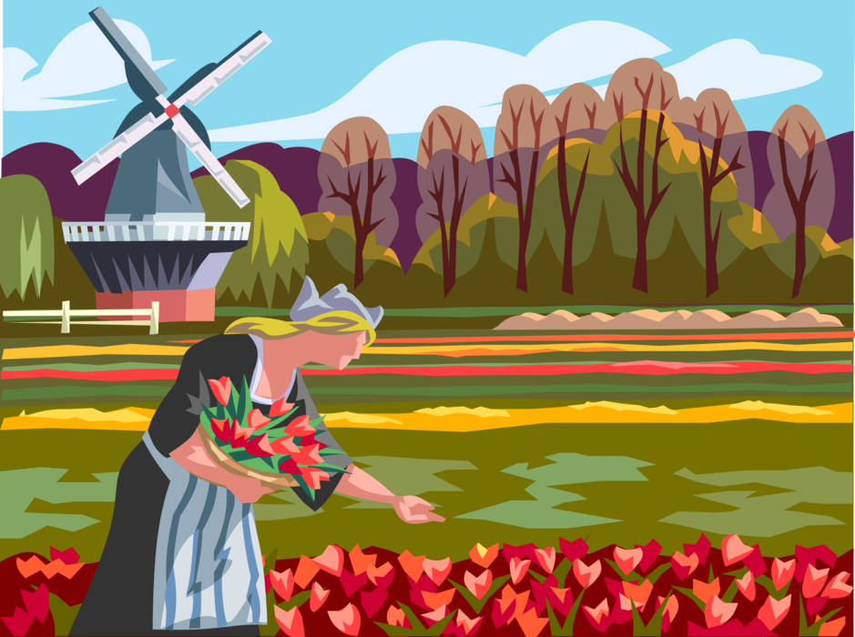 Vector Illustration of Dutch Girl Picking Tulip Bulbous Plants with Netherlands Windmill, Holland, The Netherlands