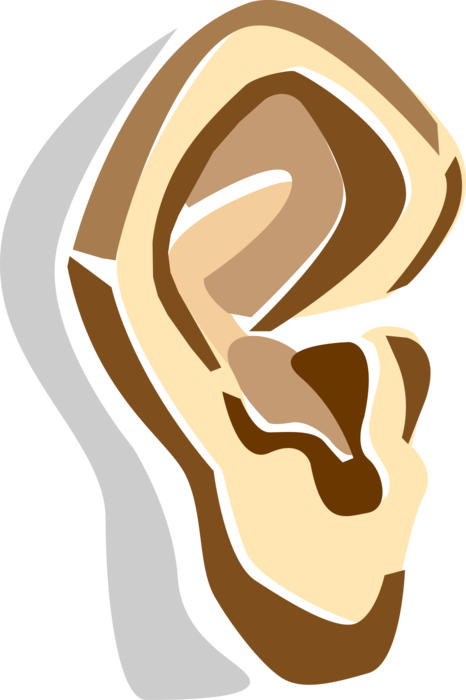 Vector Illustration of Human Ear for Hearing