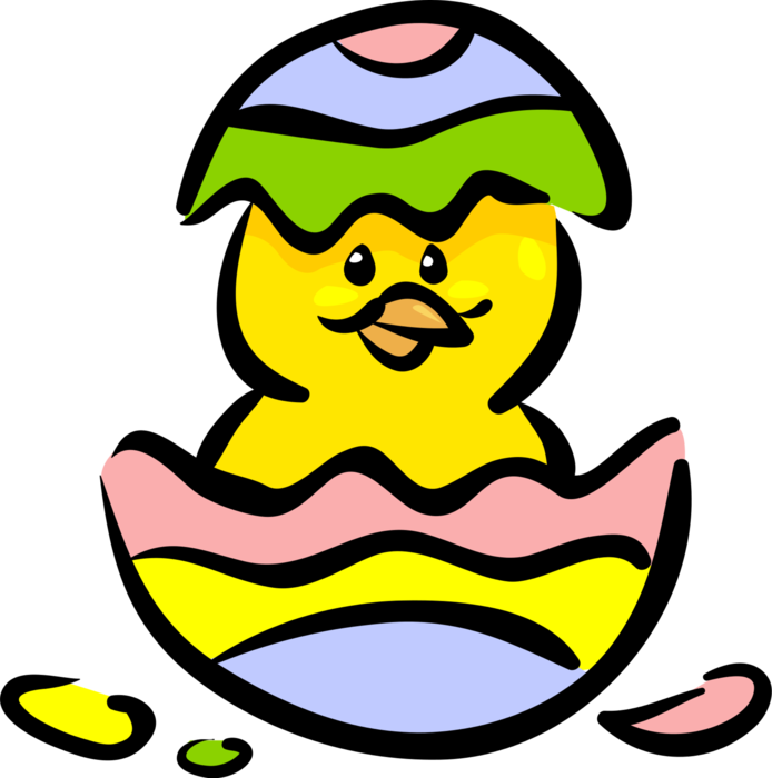 Vector Illustration of Easter Chick Bird with Egg Eggshell