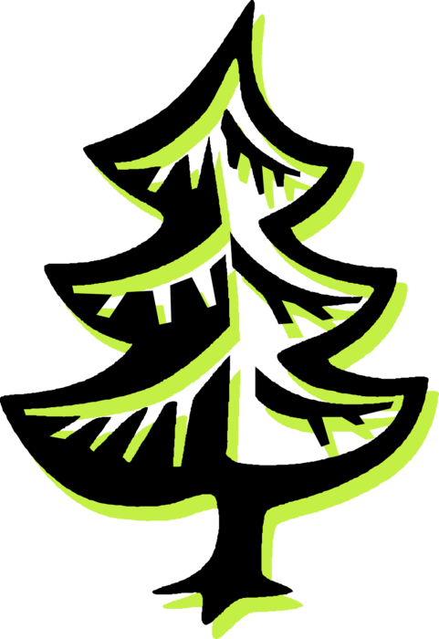 Vector Illustration of Coniferous Evergreen Fir Pine Tree