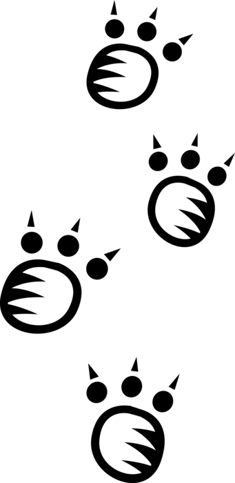 Vector Illustration of Animal Footprint Tracks