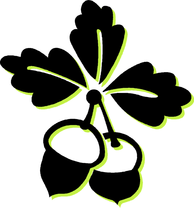 Vector Illustration of Oak Acorn Single Nut Seeds and Leaves