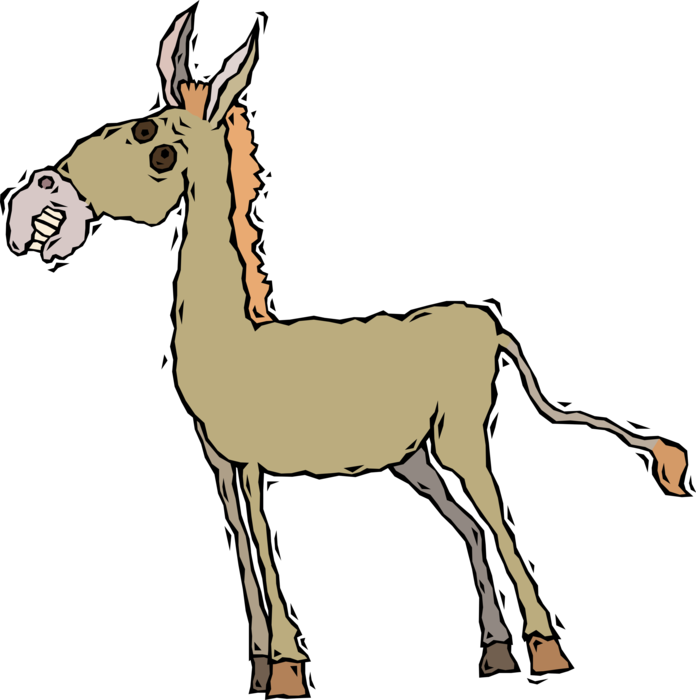 Vector Illustration of Jackass Male Donkey Ass Domesticated Horse
