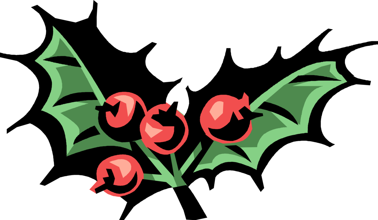 Vector Illustration of Traditional Christmas Holly Decoration