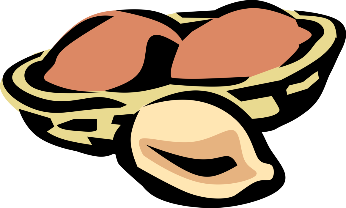 Vector Illustration of Peanut Nuts in Half Shell