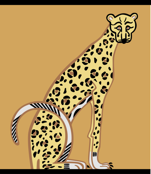 Vector Illustration of Large Spotted African Carnivore Leopard