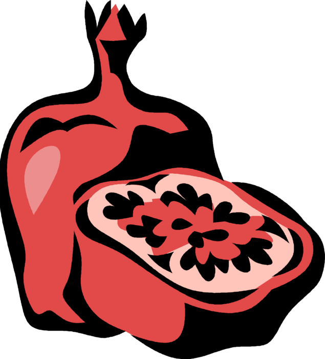 Vector Illustration of Pomegranate Edible Fruit Berry Filled with Seeds Great Source of Antioxidants