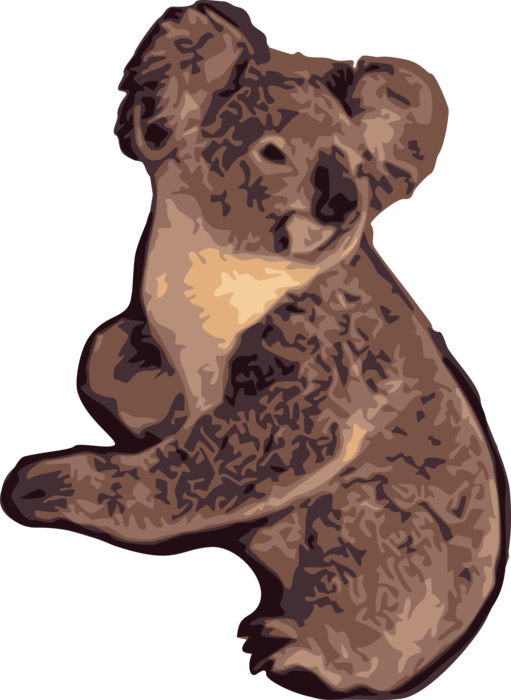 Vector Illustration of Australian Arboreal Herbivorous Marsupial Koala Bear