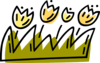 5revvbfi6w vc033517