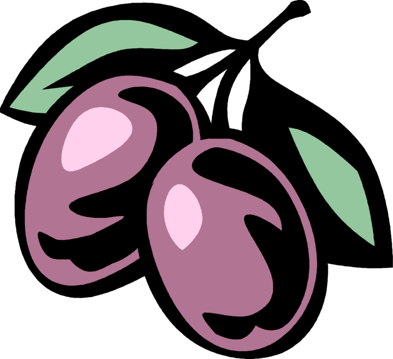 Vector Illustration of Plum Edible Fruit