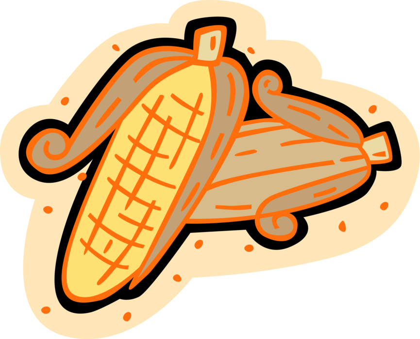 Vector Illustration of Maize or Corn Husks