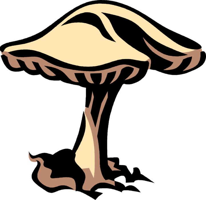 Vector Illustration of Edible Mushroom or Toadstool Fleshy Spore-Bearing Fungus Food