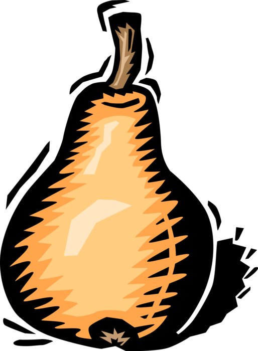 Vector Illustration of Pomaceous Edible Fruit Pear