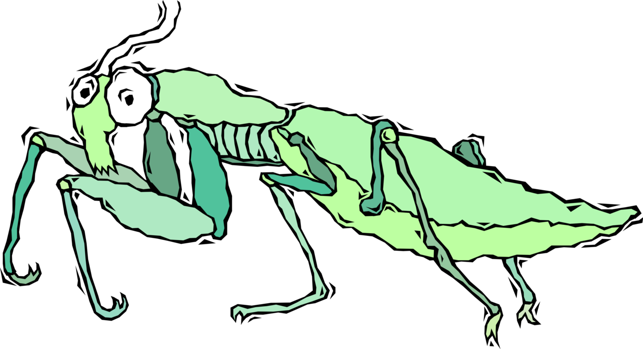 Vector Illustration of Praying Mantis Insect Bug Predator of Arthropods