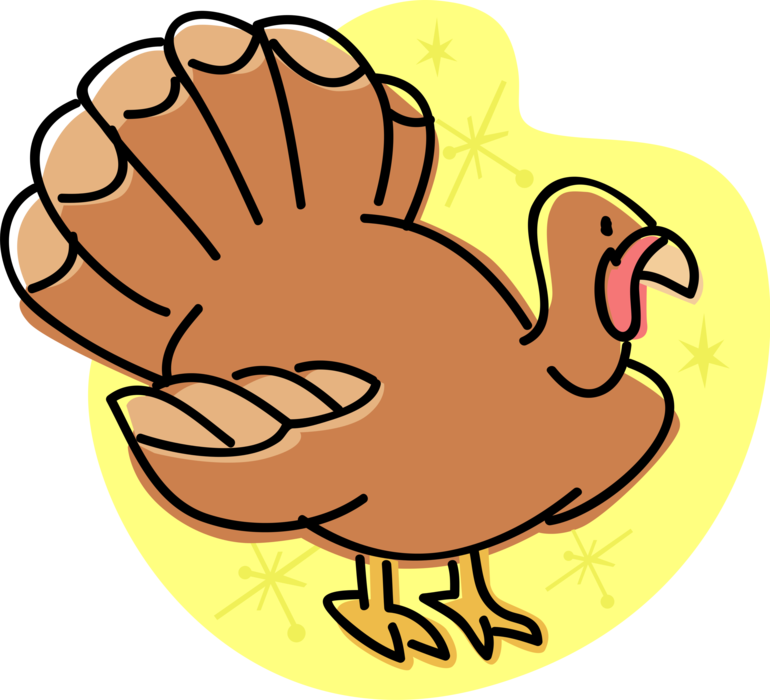 Vector Illustration of Domestic or Wild Turkey Christmas and Thanksgiving Traditional Dinner Animal