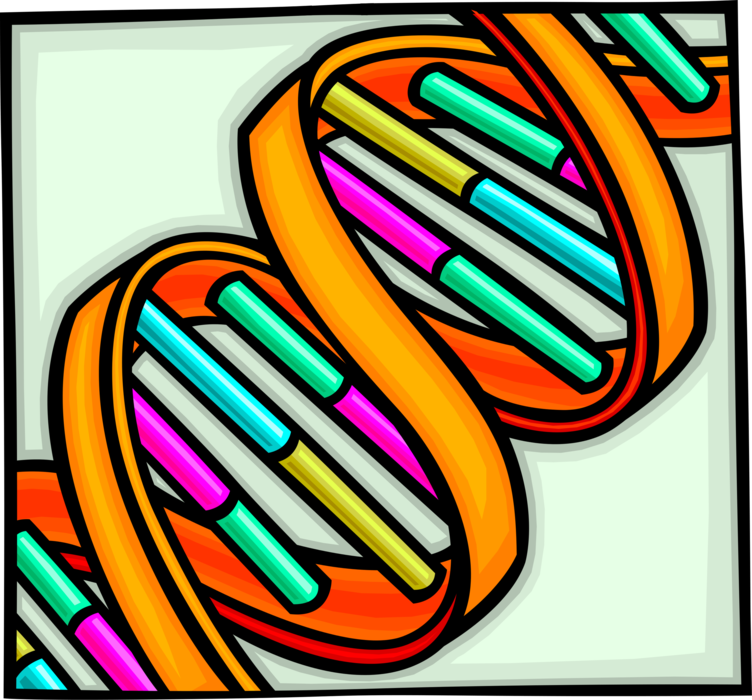Vector Illustration of Human Genetics Cytogenetics Microscopy Analyzing Chromosomes DNA