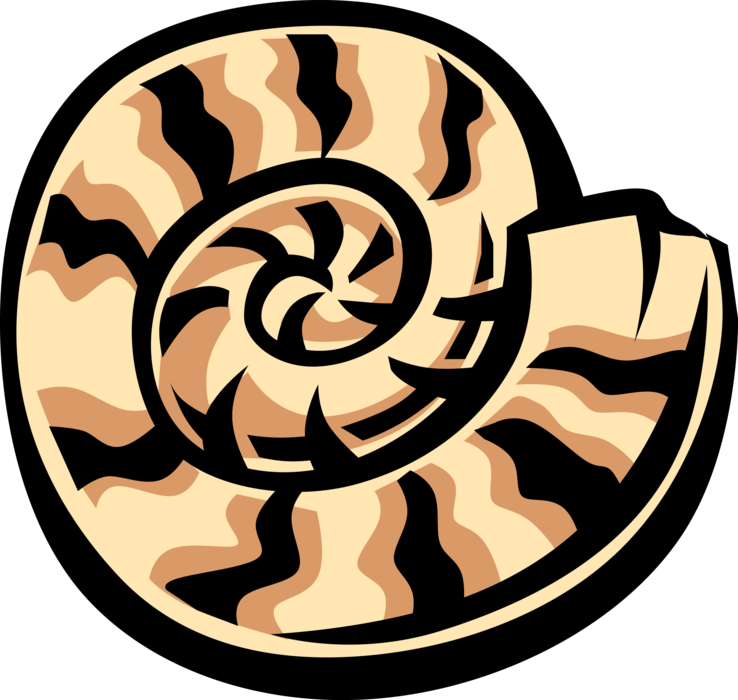 Vector Illustration of Chambered Nautilus Shell with Equiangular Spiral
