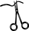 3xbh0r5hls vc034171