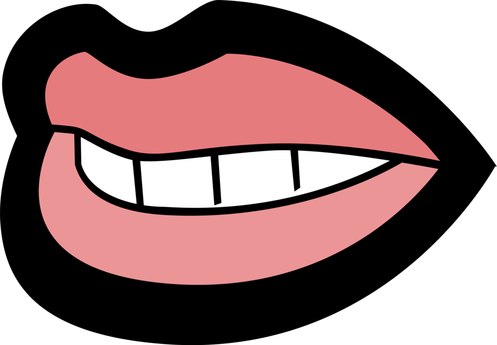 Vector Illustration of Human Mouth Lips and Teeth