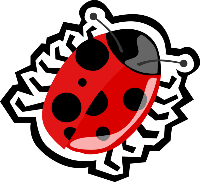 Vector Illustration of Ladybug Insect Beetle