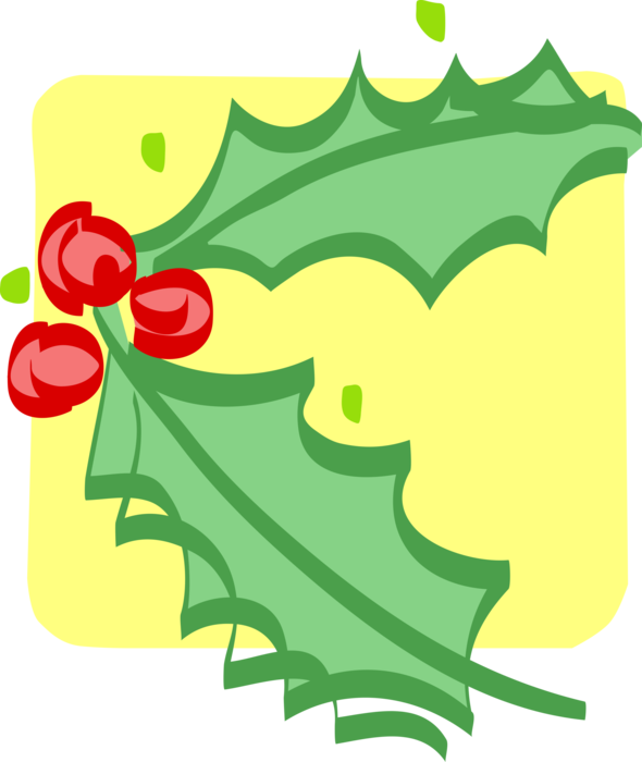 Vector Illustration of Festive Season Christmas Traditional Holly and Ivy Decoration