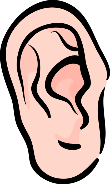 Vector Illustration of Human Ear for Hearing