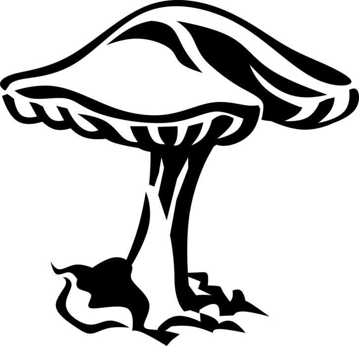 Vector Illustration of Edible Mushroom or Toadstool Fleshy Spore-Bearing Fungus Food