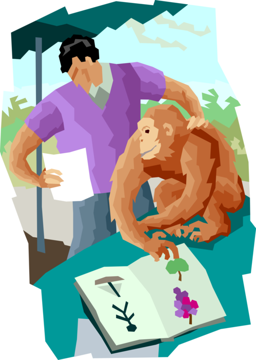 Vector Illustration of Animal Communication Teaching Sign Language to Primate Chimpanzee Monkey