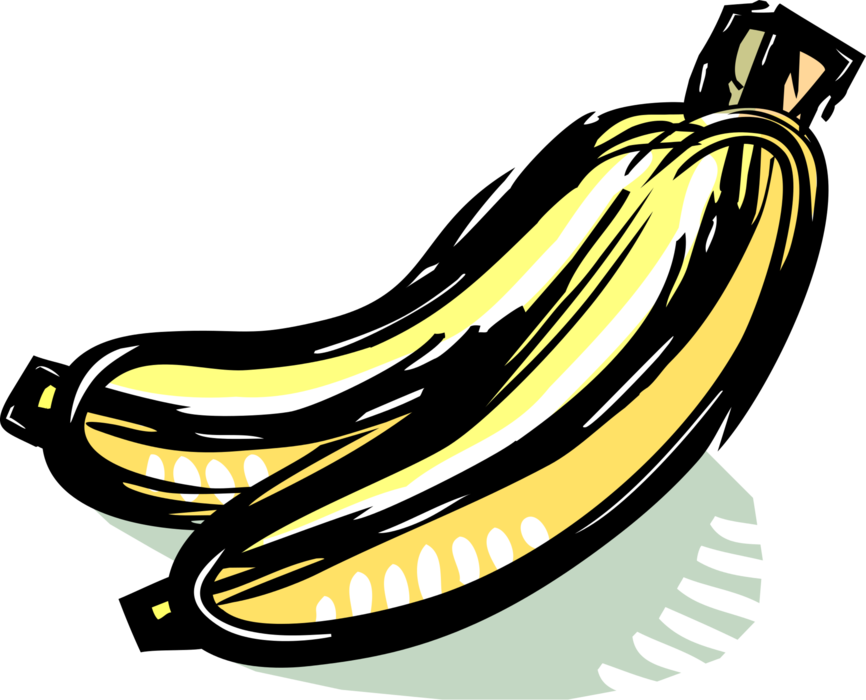 Vector Illustration of Soft, Sweet, Dessert Banana Edible Fruit 