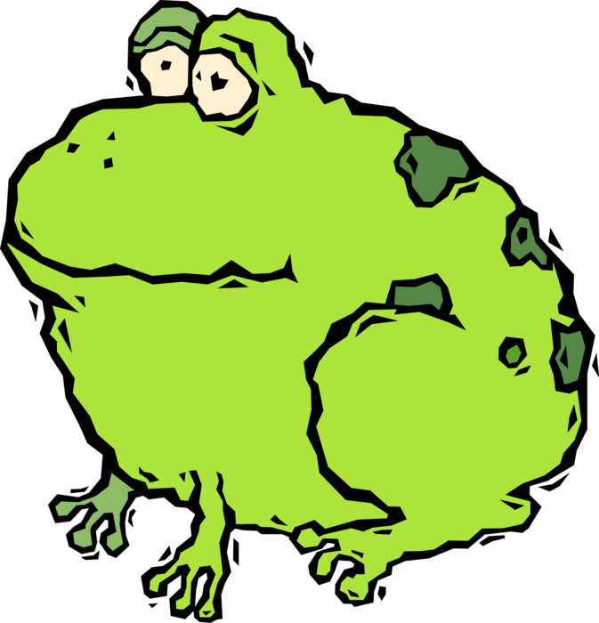 Vector Illustration of Argentinean Amphibian Bull Frog
