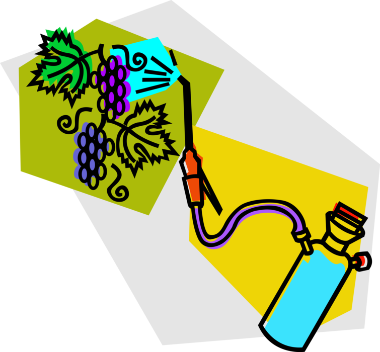 Vector Illustration of Insect and Pest Control Insecticide Spraying Vineyard Grape Vines