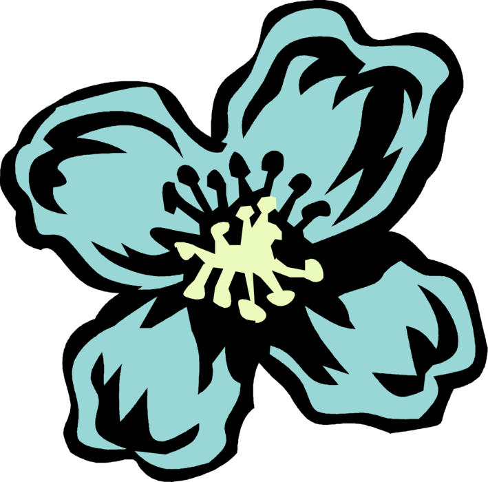 Vector Illustration of Clematis Botanical Horticulture Plant Flower Blossom