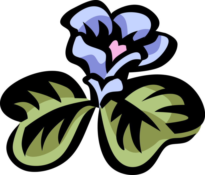 Vector Illustration of Wood Sorrel Annual or Perennial Botanical Horticulture Flowering Plant